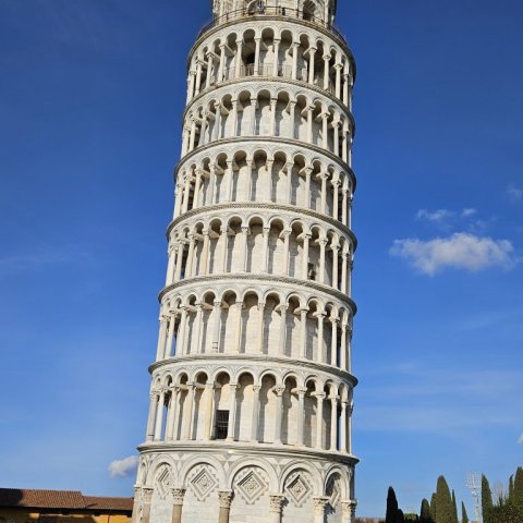 pisa6-1.jpg