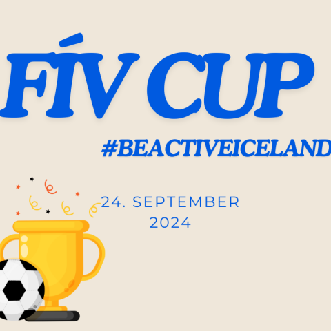 FÍV Cup